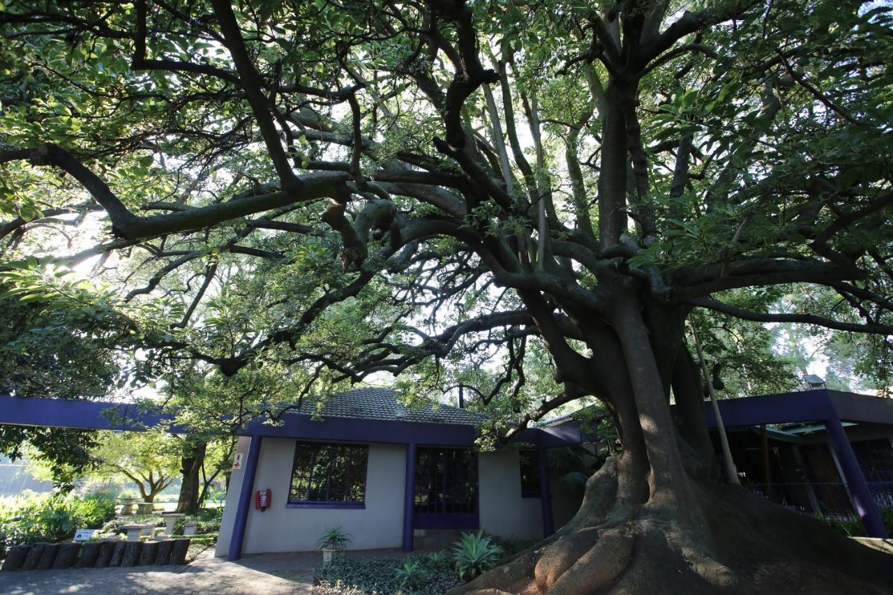 Big Tree Midrand酒店 外观 照片